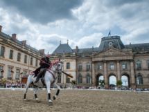 Rencontres Equestres