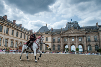Rencontres Equestres